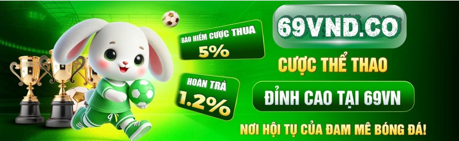 baner-69vnd-co-1.png
