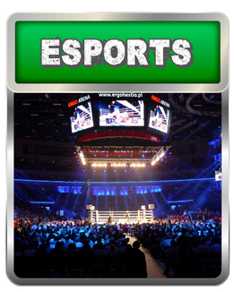 logo-esport-69vn